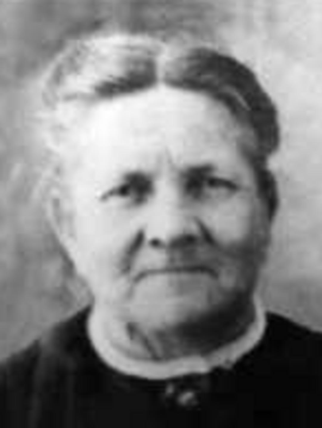 Elizabeth Gunn (1850 - 1915) Profile